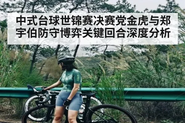 中式台球世锦赛决赛党金虎与郑宇伯防守博弈关键回合深度分析